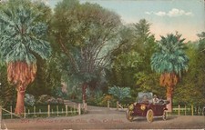 Usado, Chico, CALIFÓRNIA - Rancho Chico - Entrada - 1923 - carro antigo comprar usado  Enviando para Brazil