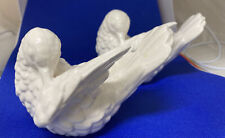White dove bird for sale  Sioux Falls