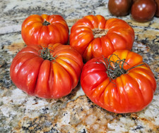 Mushroom basket tomato for sale  Melbourne