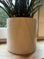 Ikea chiafrön plant for sale  MANCHESTER