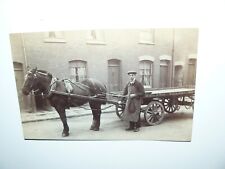 real horses for sale  ALDEBURGH