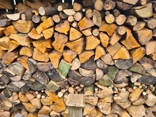 Unseasoned softwood logs for sale  DEESIDE