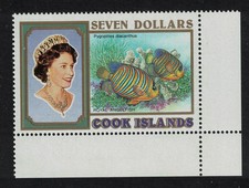 Cook fish pygoplites for sale  UK