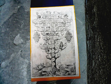 Albero genealogico famiglia usato  Pisa