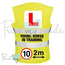 Ladies vis equestrian for sale  BARRY