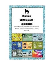 Cursinu milestone challenges d'occasion  Expédié en France