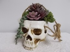 Flora bunda halloween for sale  Atlanta