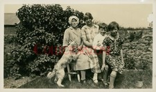 1928 gwernaffield flintshire for sale  PRESTON