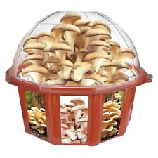 Grow mushroom garden for sale  Buffalo