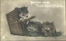 Cats disturbed dream for sale  Harvard