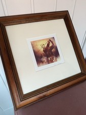 Professionally framed rare for sale  BRISTOL