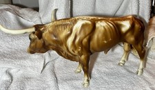 Texas longhorn bull for sale  Wesley Chapel