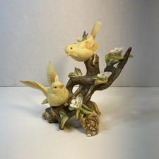 Pair yellow canary for sale  Racine