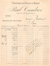 1930 teinture plumes d'occasion  France