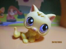 Petshop kitten 248 d'occasion  Expédié en Belgium