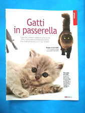 Clipping giornale gatti usato  Bologna