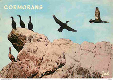 Animaux oiseaux cormorans d'occasion  Fruges