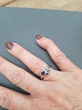 Ring magnetschmuck hundepfote gebraucht kaufen  Oranienburg