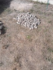 garden pebbles for sale garden pebbles for sale WITHAM