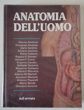 Anatomia dell uomo usato  Firenze