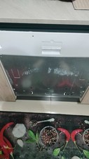 Lavastoviglie incasso indesit usato  Tolmezzo