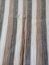 Two danes long for sale  OBAN