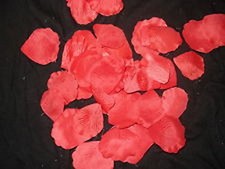 100 petali rosa usato  San Vito dei Normanni