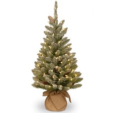 National tree company for sale  USA
