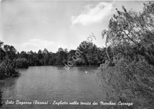 Cartolina postcard sala usato  Milano