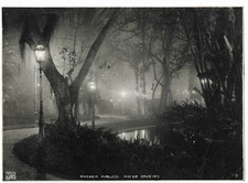Großes Foto, old photo Rio De Janeiro Brasilien Brazil, PASSEIO PUBLIGO ca. 1920 comprar usado  Enviando para Brazil