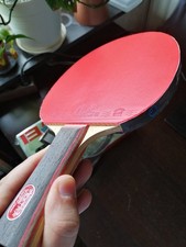 Tischtennisschläger holz sanw gebraucht kaufen  Krefeld