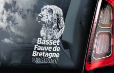 Basset fauve bretagne usato  Spedire a Italy