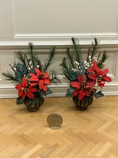 nice decorative plant for sale nice decorative plant for sale Punta Gorda