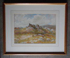 Devon dartmoor landscape for sale  WEST MOLESEY