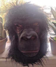 Rubber polyester ape for sale Rubber polyester ape for sale  MONTROSE