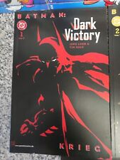 Batman dark victory gebraucht kaufen  Haste