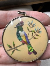 bird feathers for sale bird feathers for sale LEEDS