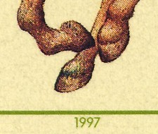 1923i haflinger plf gebraucht kaufen  Schwalmtal