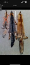 Lot tanned fox for sale  Black Diamond
