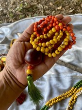 Japamala semi brasiliani usato  Pieve di Soligo