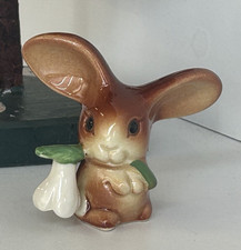 116 alter hase gebraucht kaufen  Pöcking