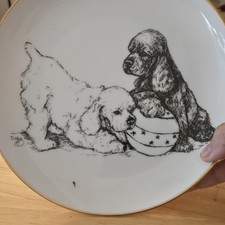Cocker spaniel puppy for sale  Stockton