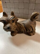 Brown schnauzer dog for sale  Saginaw