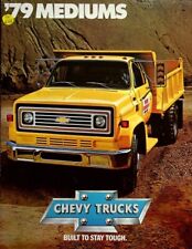 275352) Chevrolet C 50 C 60 C 70 Prospekt 09/1976 comprar usado  Enviando para Brazil