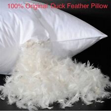 100 duck feather for sale  HUDDERSFIELD