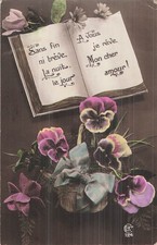 Livre ouvert panier d'occasion  Vasles
