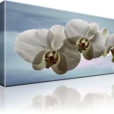 Rchidee blumen bild gebraucht kaufen  Deutschland