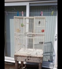 Large tall bird for sale  PRESTON