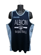 Spalding albion basketball for sale  DUDLEY
