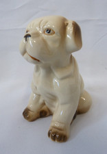 bulldogs for sale  IPSWICH